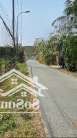 Đất Củ Chi, Bán Lô Đấtmặt Tiềnđường Nhựa Phú Hiệp, 711M2, Có Thổ Cư, Xã Phú Mỹ Hưng