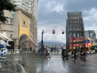 Building Văn Phòng 8 Tầng Rẻ Nhất Nguyễn Văn Trỗi, Phú Nhuận 215M2(11,5X20M), Hđt 350 Triệu/Th. 49 Tỷ