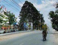 Bán Nhanh Lô Đất Mtđ.dt941 Thanh Sơn Trà Cú Trà Vinh Gần Chợ Hàm Giang 120M2/ 550 Triệu Shr Tc100%