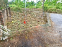 Lô Góc Đẹp Trại Láng Cổ Đông - 62,9M Lô Góc 2 Mặt Thoáng