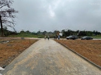Bán 2 Lô Đất 115M2 Full Thổ Cư Ở Tu Vũ, Thanh Thuỷ, Phú Thọ Cách 20M Ra Tỉnh Lộ 317B Giá Rẻ