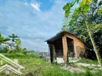 Bán Vườn Bưởi 1400M2 Ngang 20M Mặt Tiền Tỉnh Lộ 2 Diên Thọ Giáp Sông Cái Giá Bán 3,5 Tỷ (Thương Lượng)