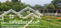 Bán Lô Đất 220M²(99M² Đất Ở) Tại Cư Yên Lương Sơn Hòa Bình Pháp Lý Đầy Đủ Vị Trí Đẹp, Tiềm Năng Lớn