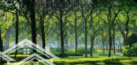 Chỉ Thanh Toán 20% (1,8 Tỷ) Nhận Nhà Ở Ngay, Tại Khu Đô Thị Xanh Celadon City Tân Phú
