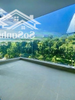 Duy Nhất 1 Căn Giá Tốt:diện Tích121M2 - 3 Phòng Ngủ 3 Vệ Sinhdiamond Centery Celadon City, Giá Bán 7.85 Tỷ (Giá 102%)