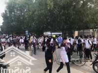 Mặt Tiền Chợ Vào 3 Lô (15X50M) Sổ Riêng, Đối Diện Kcn, Dân Đông Giá: 390 Triệu/Lô
