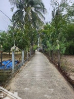Bán Đất Tại Tam Hải, Núi Thành, Quảng Nam Diện Tích 1852,6 M2, Hàng Hot Giá Cực Tốt