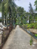 Bán Đất Tại Tam Hải, Núi Thành, Quảng Nam Diện Tích 1852,6 M2, Hàng Hot Giá Cực Tốt