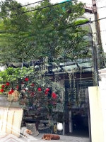 Biệt Thự Gần Ngoại Giao Đoàn, Xuân La - Lô Góc, Sân Vườn, Hầm Ô Tô, 5 Tầng Tm, 110M2, Chỉ 25.5 Tỷ