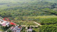 Đất Xây Nhà Vườn Hòa Ninh Đường Nhựa, 810M2 Có 120M2 Đất Ở Ngang Rộng 43M.