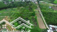 Đất Xây Nhà Vườn Hòa Ninh Đường Nhựa, 810M2 Có 120M2 Đất Ở Ngang Rộng 43M.