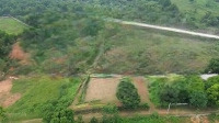 Tổng Diện Tích: 1018M2 Có 50M2 Đất Ở, Còn Lại Là Đất Trồng Cây Lâu Năm
