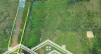 Tổng Diện Tích: 1018M2 Có 50M2 Đất Ở, Còn Lại Là Đất Trồng Cây Lâu Năm