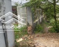 Đất 22.000M2 Giá Rẻ 6.5Tỷ , Shr Không Qh - Ql20 - Đồng Nai