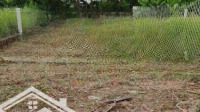 Chủ Ký Gửi Lô 150M2 Gần Chợ Xã Tân Trung Giá Bán 650 Triệu,Shr,Sang Tên Trong Ngày,Gần Chờ.trường Và Ubnd