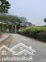 3 Lô F0 Giảm Giá Chỉ Từ Hơn 400 - 700 Triệu Trục Chính Tại Ngọc Thạch Đồng Tĩnh Tam Dương Gần 200M2