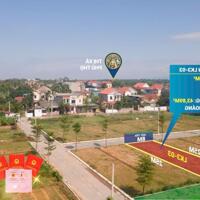  HÀNG HIẾM  ĐÚNG 5 LÔ ĐẤT ĐẤU GIÁ GIÁP VIỆT TRÌ MẶT ĐƯỜNG NHỰA TO CHỈ  HƠN 7 TRIỆU/M2.