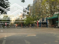 Chính Chủ Cần Bán Căn Biệt Thự Đẹp Gần Mặt Phố Liễu Giai- Ba Đình- 389M2- Mt: 10- 96 Tỷ