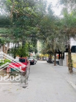 Bán Biệt Thự Cao Cấp Linh Đàm 250M Giá Chỉ 66 Tỷ (Có Thương Lượng)