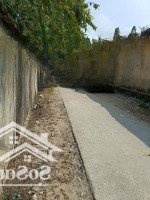 Hot - Đất Thổ Cưdiện Tích5X20M, Gần Nhà Thờ Tân Hiệp (Lê Lợi) Ngã 3 Hồng Châu - Hóc Môn