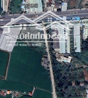 Bán Đất 4200M2 Tại Kênh Cây Keo, Đường 818, Nhị Thành, Thủ Thừa, Long An Chỉ Với Giá Ưu Đãi 17 Tỷ