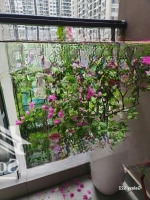 Bán 1Pn+, 42,9M2, 2,32 Tỷ Tại Tòa S2.07 The Sapphire 2,Vinhomes Ocean Park1