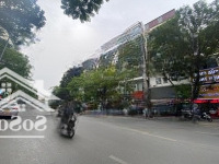 Cần Bán Toà Nhà 8 Tầng Đường Thái Hà. 100M2 Mt: 8M. Đang Cho Thuê Giá Cao