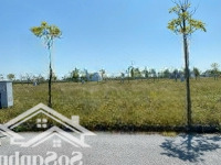 Lô Đất 189M2 Cực Đẹp Tại Kđt Phượng Hoàng, Nhà Đầu Tư Nhanh Tay Sở Hữu, Đón Nhiều Dự Án Mới