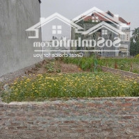Cc Bán 79.7M2 Mạch Lũng - Đại Mạch, Full Thổ, Mt=H=5M, Đường Thông 4M, 30M Ra Bìa Làng