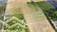 Tiêu Đề: Bán Đất Vườn 4.000M2, Có Sẵn Thổ Cư 800 M2. Hẻm Tl832 Tân Bình, Tân Trụ, Long An