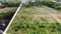 Bán Đất Vườn 2.242M2, Có Sẵn Thổ Cư 540 M2. Hẻm Đường Nguyễn Thị Điểm, Tân Bình Tân Trụ, Long An