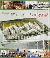Chủ Đầu Tư Mở Bán Dãy Shophouse Nhà Phố Thương Mại Kinh Doanh Trục Chính Dự Án