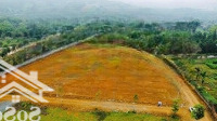 Bán Đất Tại Tiến Xuân, 10 Triệu / M2, 689 M2, Hot! Uy Tín