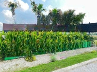 Thanh Lý Đất Nền Kdc Dragon Paerl Xã Đức Hòa Đông Đối Diện Kcn An Hạ Bình Chánh Tphcm