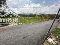 Đất Lộc An - Long Thành 100M2. Đường Nhựa, Khu Dân Cư. Gần Chợ Mới Long Thành