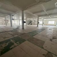 Bán+ cho thuê 4500m2 đất TMDV đường Nguyễn Tất Thành, Liên Bảo, Vĩnh Yên, giá: 120tr/ th