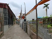Bán Gấp Lô Góc 55M Thư Phú, Thường Tín