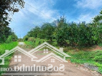 Bán Đất Mặt Tiền Đường Nhựa Lớn 4.000M2