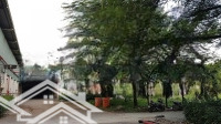 Bán Xưởng, Giấy Tờ Pháp Lý Đầy Đủ, Sẵn Sàng Đi Vào Sản Xuất Ngay