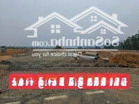 Lô Góc 80M Cách Đấu Giá Đồng Trúc Chỉ 50M