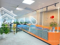 Siêu Hot! Văn Phòng Trọn Gói Cho Thuê, View Đường Phố Từ 5-10 Nhân Sự Tại Tòa 29T1 Hoàng Đạo Thúy