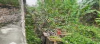 Bán Đất Kho, Nhà Xưởng Đẹp Tại Xã Vạn Xuân, Tam Nông, Phú Thọ, 70 Tỷ, 40000M2