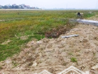 Bán Đất Kho, Nhà Xưởng 18000 M2, Giá Bán 21 Tỷ Tại Quốc Lộ 70, Đoan Hùng, Phú Thọ