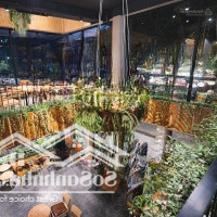 Cho Thuê Nhà Mặt Phố Nguyễn Văn Lộc , 100M2 X 5 Tầng , Lô Góc : 6M X 15M , Vị Trí Đắc Địa