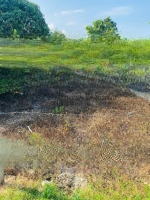 Duy Nhất 650 Triệudiện Tích209M2 Full Thổ Ngay Hương Lộ 62 Xã Diên Tân, Diên Khánh, Khánh Hoà