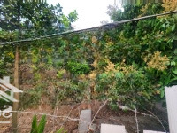 Bán Đất Phúc Hòa, 670 Triệu, 720 M2, Phúc Thọ, Hà Nội