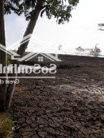 Bán Đất Chính Chủ Mặt Tiền Sông Lý Nhơn Cần Giờ