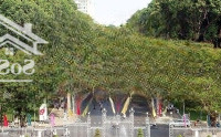 Duy Nhất 1 Căn 5X20M, Hẻm Xe Hơi 10M Vô Tận Nhà Ngay Lê Duẩn Vào 100M, P Bến Nghé, Giá Tốt Đầu Tư