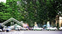 Duy Nhất 1 Căn 5X20M, Hẻm Xe Hơi 10M Vô Tận Nhà Ngay Lê Duẩn Vào 100M, P Bến Nghé, Giá Tốt Đầu Tư