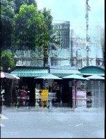 Bán Nhà Mặt Tiền Kinh Doanh 3 Tầng, 55M2 Trần Thái Tông, Tân Bình.